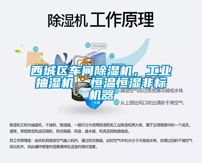 西城區(qū)車間除濕機，工業(yè)抽濕機  恒溫恒濕非標機器