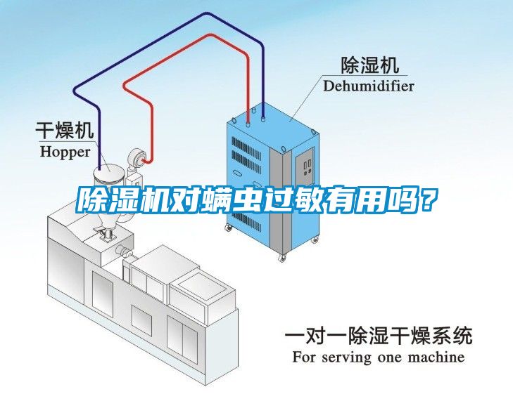 除濕機(jī)對螨蟲過敏有用嗎？