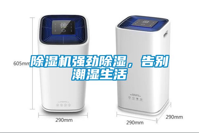 除濕機強勁除濕，告別潮濕生活