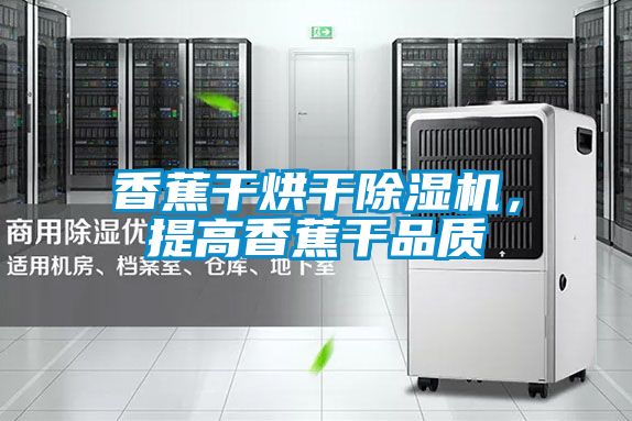 香蕉干烘干除濕機(jī)，提高香蕉干品質(zhì)