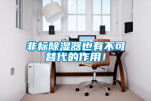 非標(biāo)除濕器也有不可替代的作用！