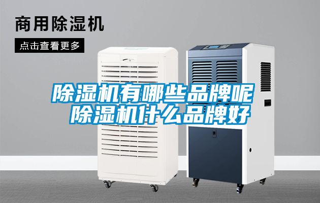 除濕機(jī)有哪些品牌呢 除濕機(jī)什么品牌好