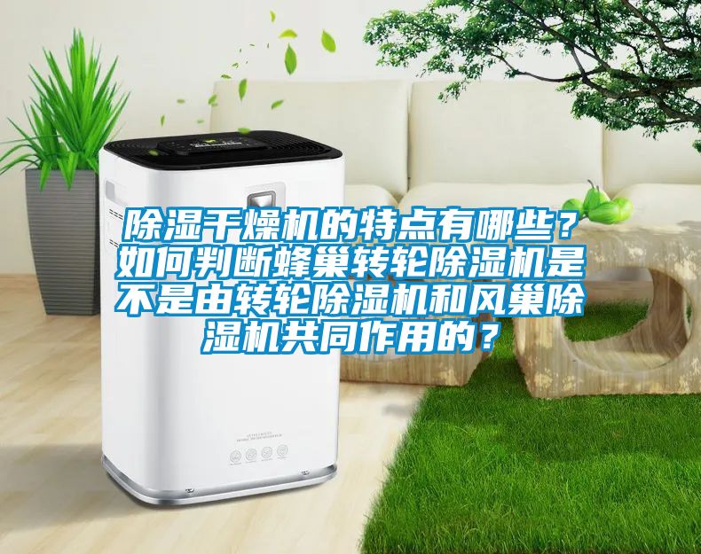除濕干燥機的特點有哪些？如何判斷蜂巢轉(zhuǎn)輪除濕機是不是由轉(zhuǎn)輪除濕機和風巢除濕機共同作用的？