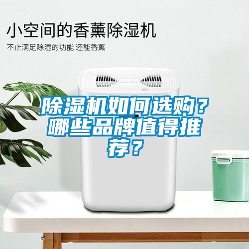 除濕機如何選購？哪些品牌值得推薦？