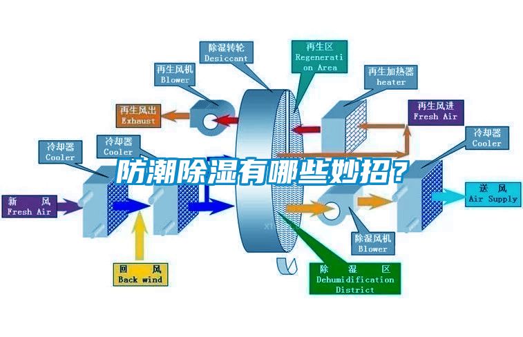 防潮除濕有哪些妙招？