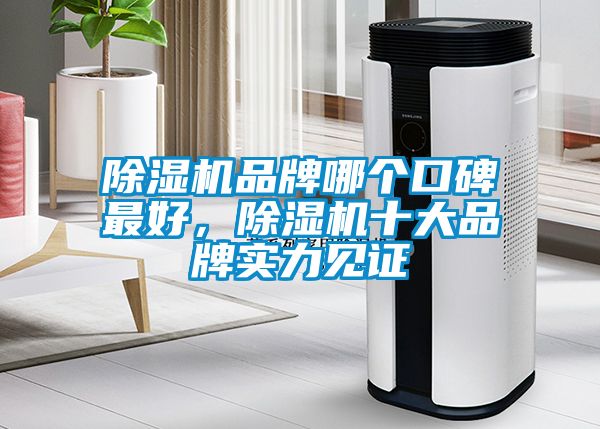 除濕機(jī)品牌哪個(gè)口碑最好，除濕機(jī)十大品牌實(shí)力見(jiàn)證