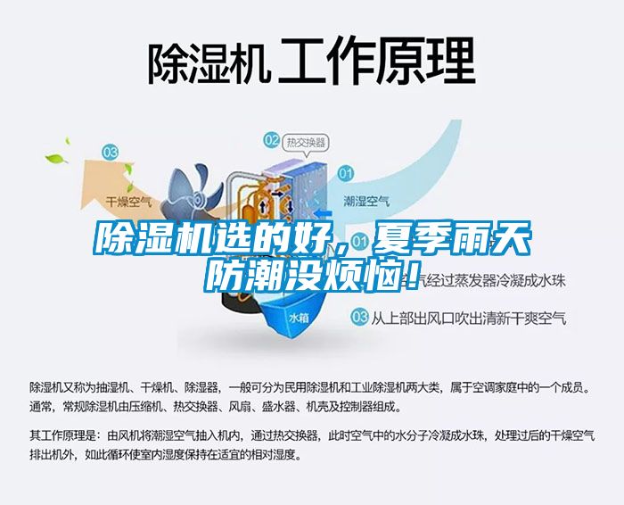 除濕機(jī)選的好，夏季雨天防潮沒煩惱！