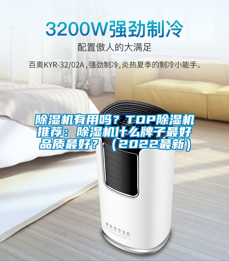除濕機有用嗎？TOP除濕機推薦：除濕機什么牌子最好品質(zhì)最好？（2022最新）