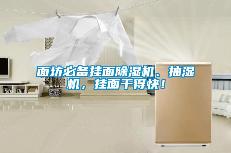 面坊必備掛面除濕機(jī)、抽濕機(jī)，掛面干得快！