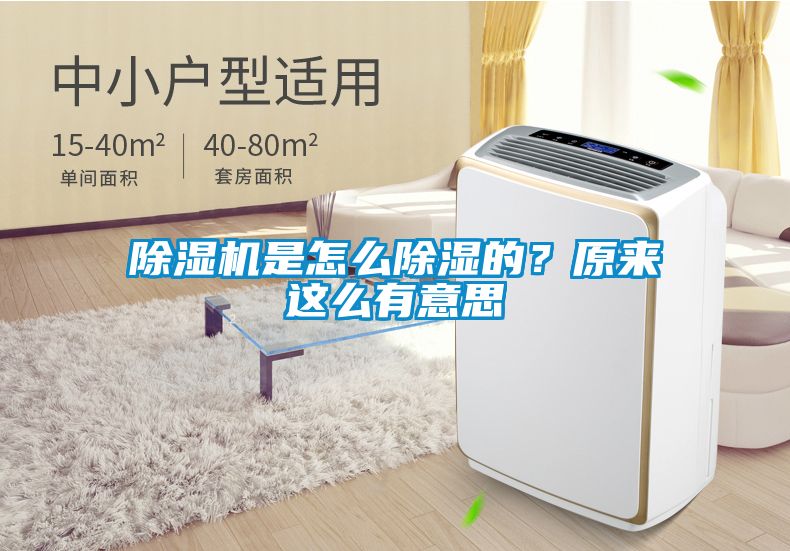 除濕機(jī)是怎么除濕的？原來(lái)這么有意思