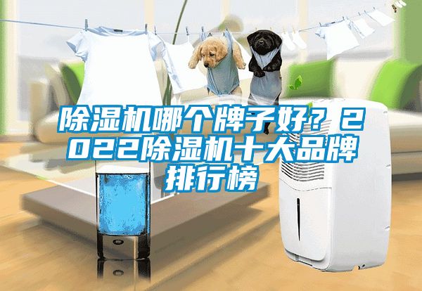 除濕機哪個牌子好？2022除濕機十大品牌排行榜