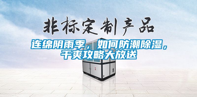 連綿陰雨季，如何防潮除濕，干爽攻略大放送