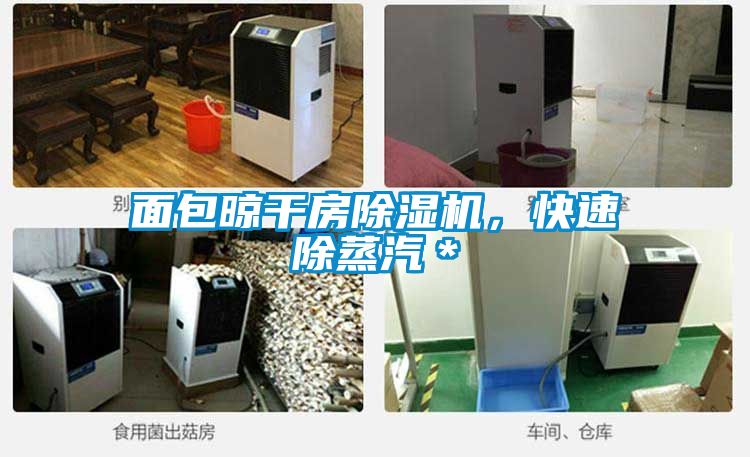 面包晾干房除濕機(jī)，快速除蒸汽＊