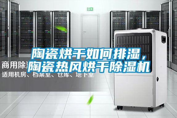 陶瓷烘干如何排濕，陶瓷熱風烘干除濕機