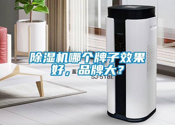 除濕機哪個牌子效果好，品牌大？