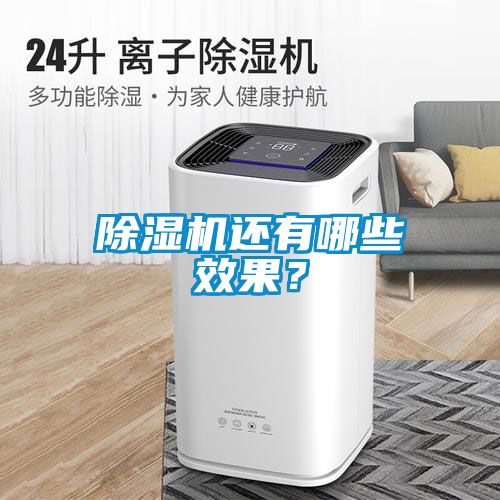 除濕機(jī)還有哪些效果？