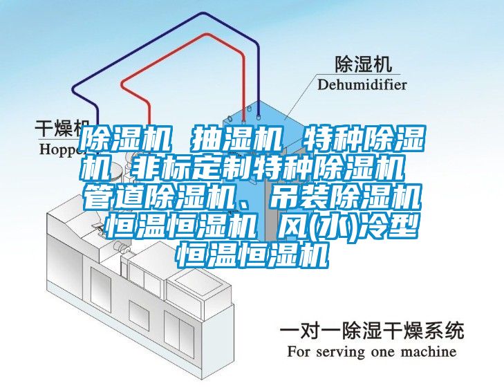 除濕機(jī) 抽濕機(jī) 特種除濕機(jī) 非標(biāo)定制特種除濕機(jī) 管道除濕機(jī)、吊裝除濕機(jī) 恒溫恒濕機(jī) 風(fēng)(水)冷型恒溫恒濕機(jī)