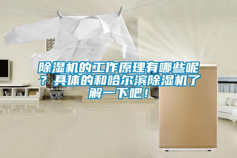 除濕機的工作原理有哪些呢？具體的和哈爾濱除濕機了解一下吧！