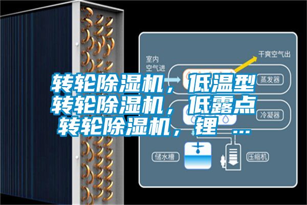 轉(zhuǎn)輪除濕機(jī)，低溫型轉(zhuǎn)輪除濕機(jī)，低露點(diǎn)轉(zhuǎn)輪除濕機(jī)，鋰 ...