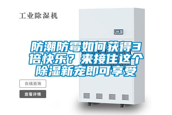 防潮防霉如何獲得3倍快樂？來接住這個除濕新寵即可享受