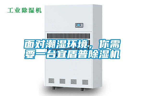 面對(duì)潮濕環(huán)境，你需要一臺(tái)宜盾普除濕機(jī)
