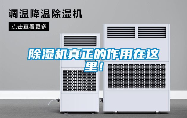 除濕機真正的作用在這里！