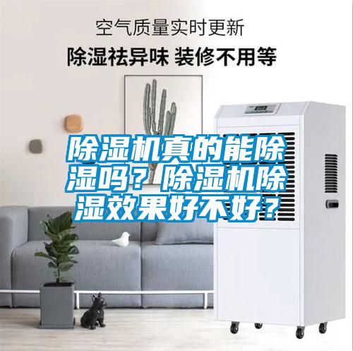 除濕機(jī)真的能除濕嗎？除濕機(jī)除濕效果好不好？