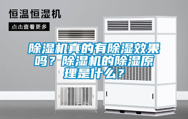 除濕機(jī)真的有除濕效果嗎？除濕機(jī)的除濕原理是什么？