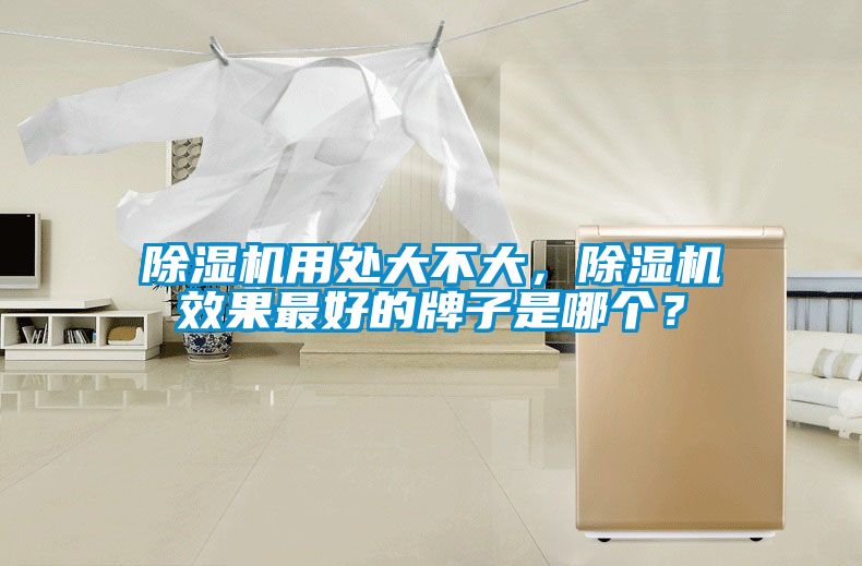 除濕機用處大不大，除濕機效果最好的牌子是哪個？