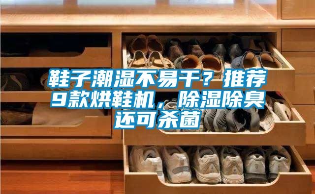 鞋子潮濕不易干？推薦9款烘鞋機，除濕除臭還可殺菌