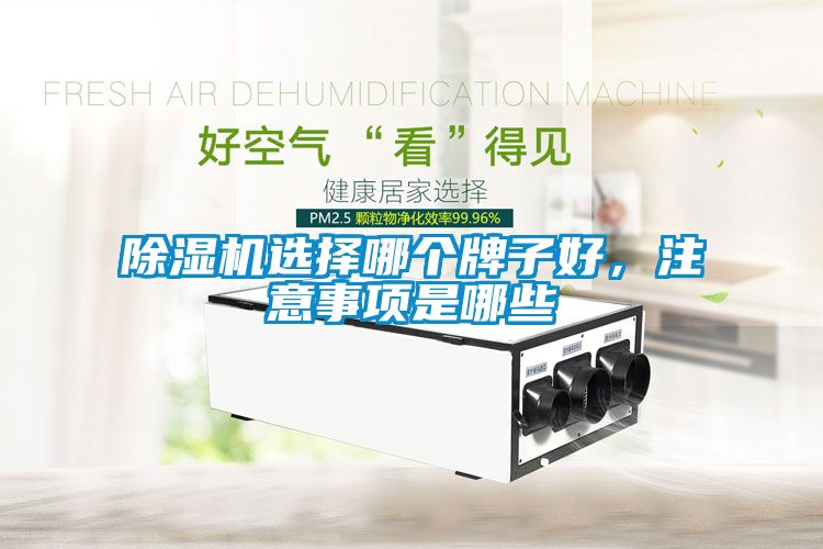 除濕機(jī)選擇哪個(gè)牌子好，注意事項(xiàng)是哪些