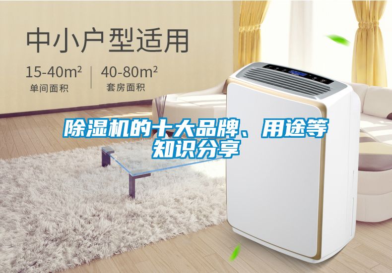 除濕機(jī)的十大品牌、用途等知識(shí)分享