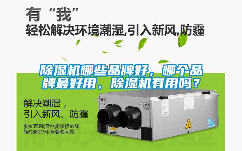 除濕機哪些品牌好，哪個品牌最好用，除濕機有用嗎？