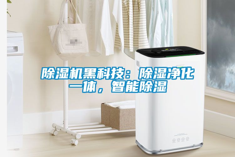 除濕機(jī)黑科技：除濕凈化一體，智能除濕