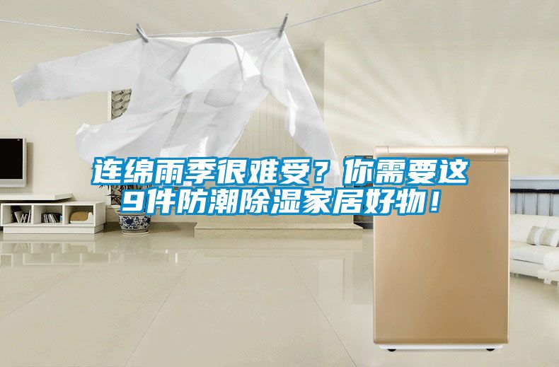 連綿雨季很難受？你需要這9件防潮除濕家居好物！