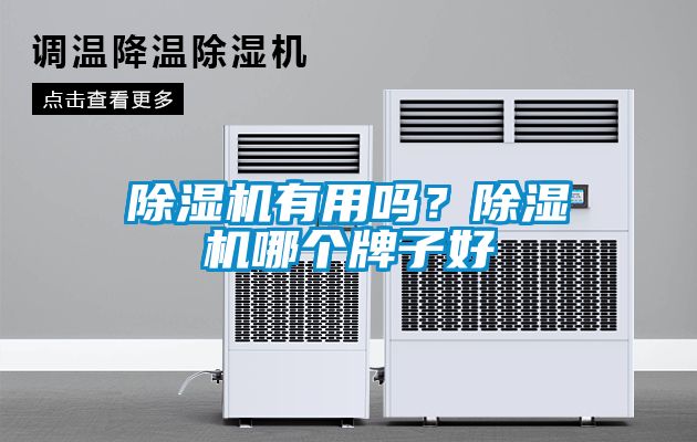 除濕機有用嗎？除濕機哪個牌子好