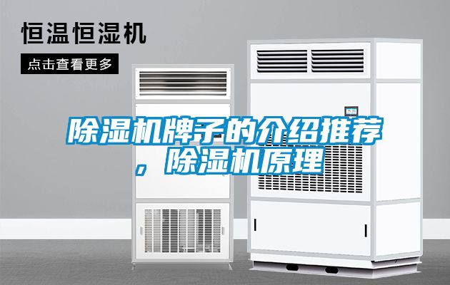 除濕機(jī)牌子的介紹推薦，除濕機(jī)原理