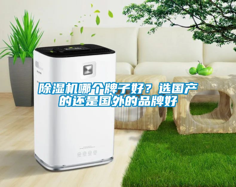 除濕機哪個牌子好？選國產(chǎn)的還是國外的品牌好