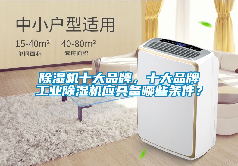 除濕機(jī)十大品牌，十大品牌工業(yè)除濕機(jī)應(yīng)具備哪些條件？