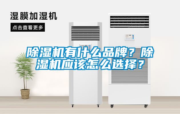 除濕機(jī)有什么品牌？除濕機(jī)應(yīng)該怎么選擇？