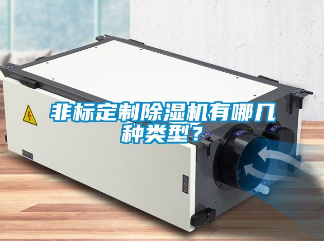 非標(biāo)定制除濕機(jī)有哪幾種類型？