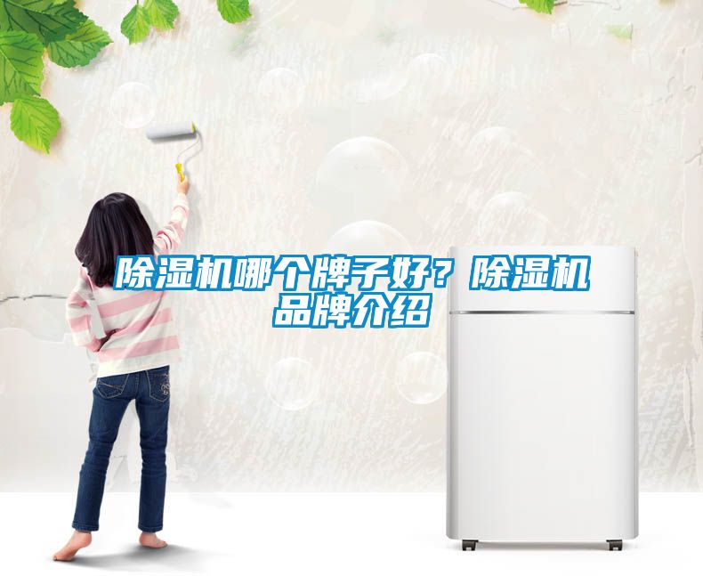 除濕機哪個牌子好？除濕機品牌介紹