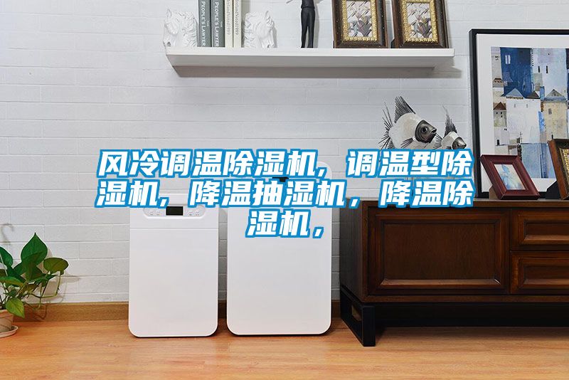 風(fēng)冷調(diào)溫除濕機, 調(diào)溫型除濕機, 降溫抽濕機，降溫除濕機，