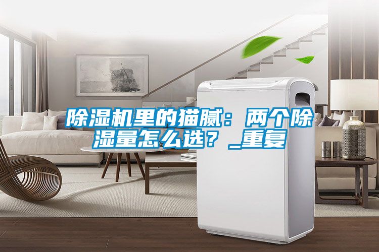 除濕機(jī)里的貓膩：兩個除濕量怎么選？_重復(fù)
