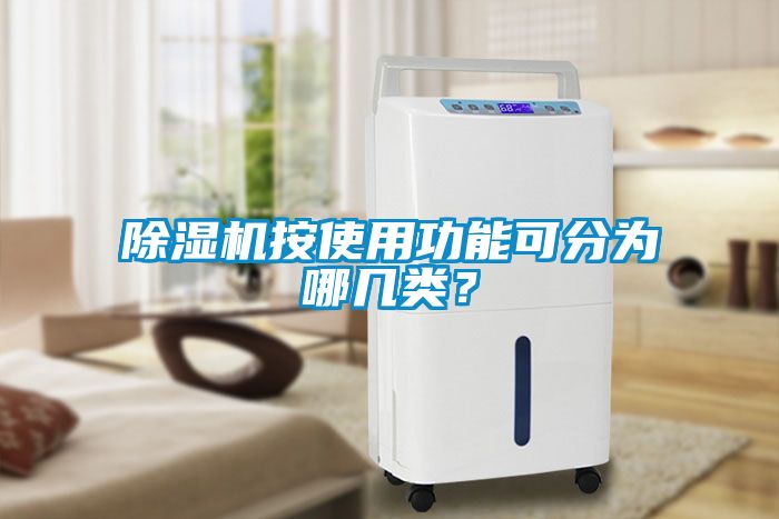 除濕機按使用功能可分為哪幾類？