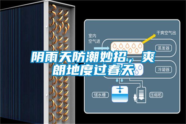 陰雨天防潮妙招，爽朗地度過春天