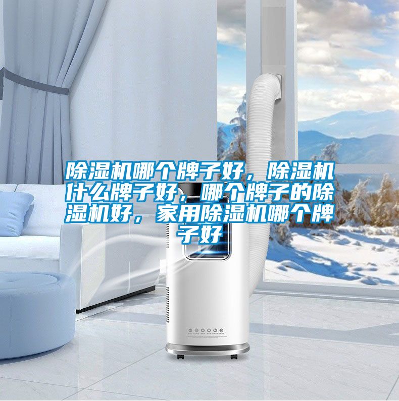 除濕機(jī)哪個(gè)牌子好，除濕機(jī)什么牌子好，哪個(gè)牌子的除濕機(jī)好，家用除濕機(jī)哪個(gè)牌子好