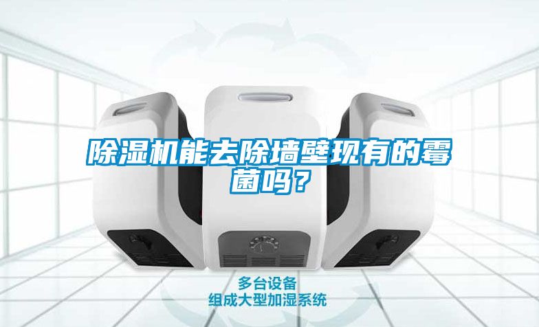 除濕機(jī)能去除墻壁現(xiàn)有的霉菌嗎？