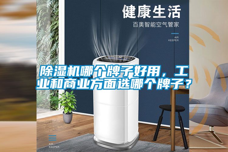 除濕機(jī)哪個(gè)牌子好用，工業(yè)和商業(yè)方面選哪個(gè)牌子？
