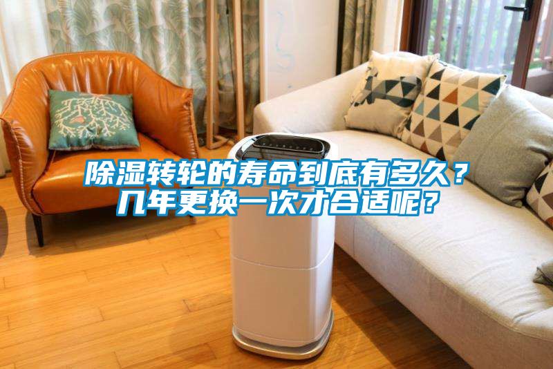 除濕轉(zhuǎn)輪的壽命到底有多久？幾年更換一次才合適呢？